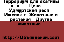 Террариум для ахатины 30х30х20  › Цена ­ 700 - Удмуртская респ., Ижевск г. Животные и растения » Другие животные   